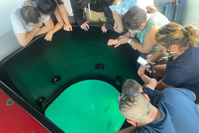 Long Beach Glass Bottom Boat Eco-Tour - What you can see through the glass panels