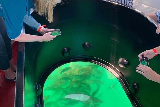 Long Beach Glass Bottom Boat Eco-Tour - Is $30 a fair price for an hour?
