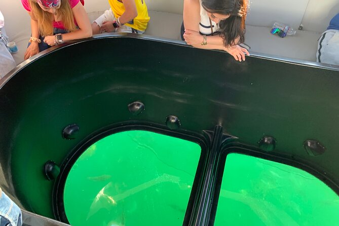 Long Beach Glass Bottom Boat Eco-Tour - Who is likely to enjoy the ride