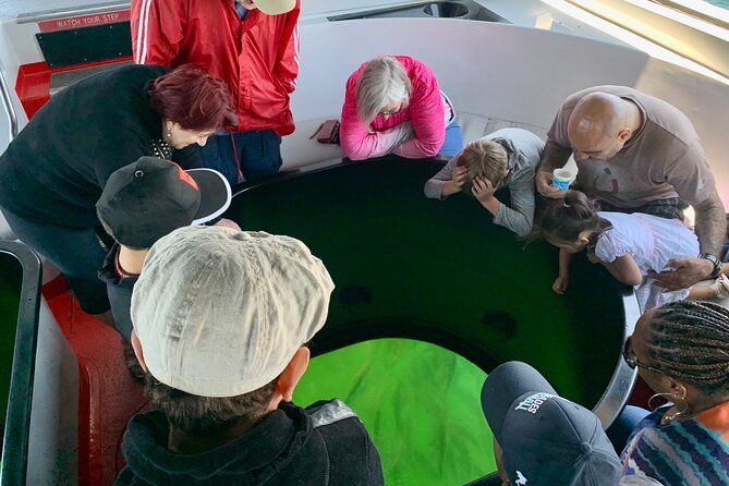 Long Beach Glass Bottom Boat Eco-Tour - Should you book the Long Beach Glass Bottom Boat Eco-Tour?