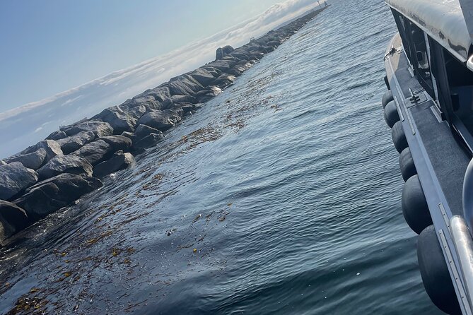 Long Beach Glass Bottom Boat Eco-Tour - FAQ