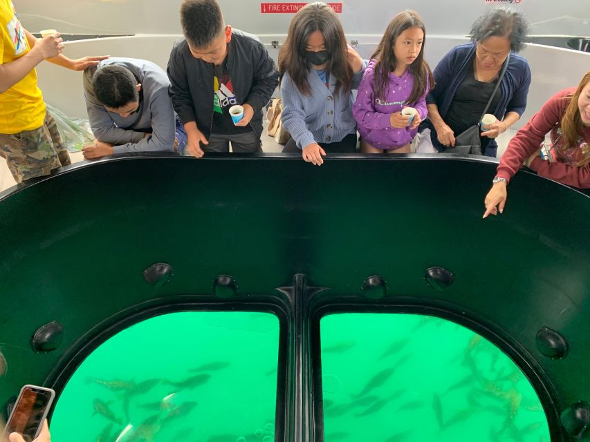 Long Beach: Glass Bottom Boat Harbor Ecotour - The guide adds context to the view