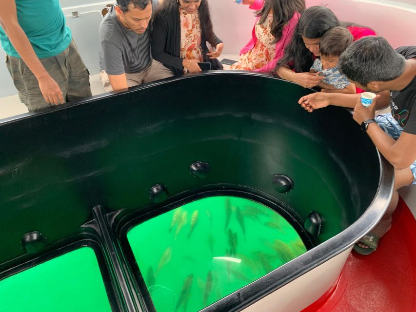 Long Beach: Glass Bottom Boat Harbor Ecotour - A good fit for families with young children