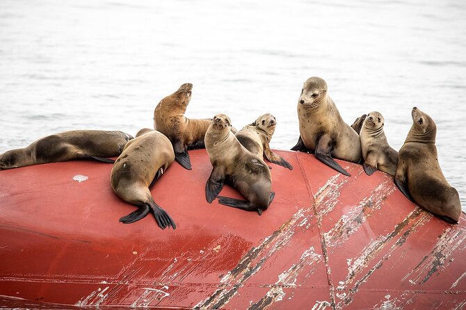 Long Beach Harbor 45-Minute Boat Tour - At a glance