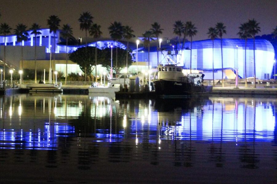 Long Beach: Private Night Yacht Cruise With City Lights - What the private format is worth