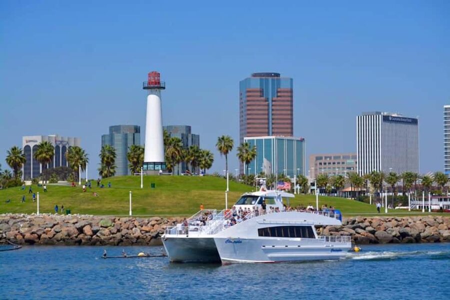 Long Beach: Sightseeing Harbor Cruise - Sea lions and the working harbor