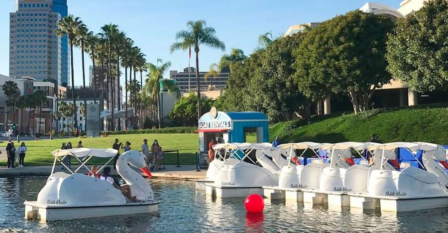 Long Beach: Swan Boat Rental at Rainbow Lagoon - A lagoon outing, not a harbor cruise