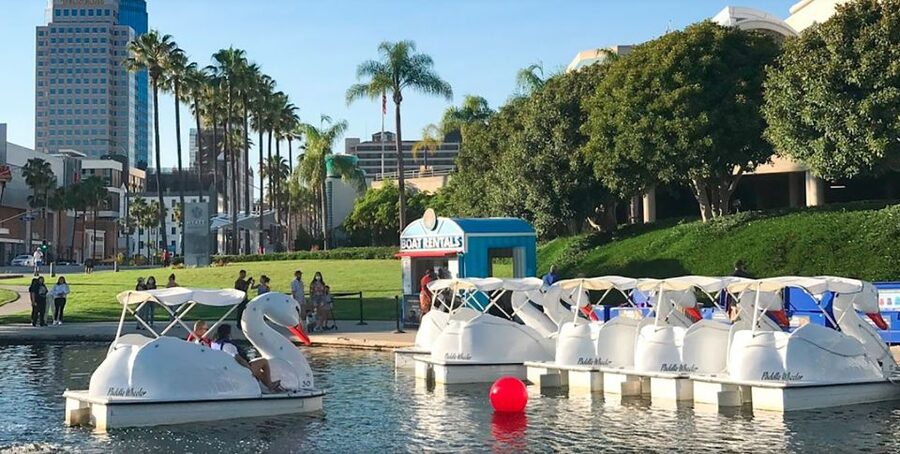 Long Beach: Swan Boat Rental at Rainbow Lagoon - Daylight, wind, and the LED ride