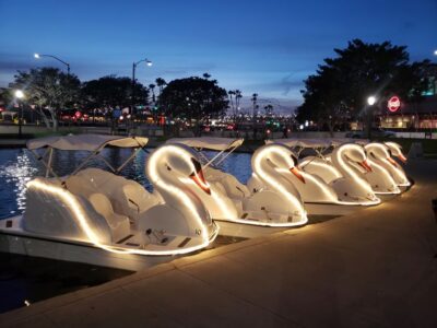 Swan Boat Rental at Rainbow Lagoon