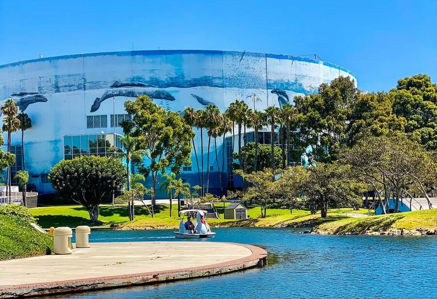 Long Beach: Swan Boat Rental at Rainbow Lagoon - Who will enjoy this ride most?