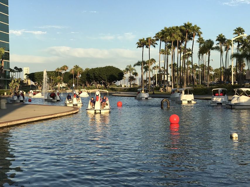 Long Beach: Swan Boat Rental at Rainbow Lagoon - Should you book the Rainbow Lagoon swan boat?