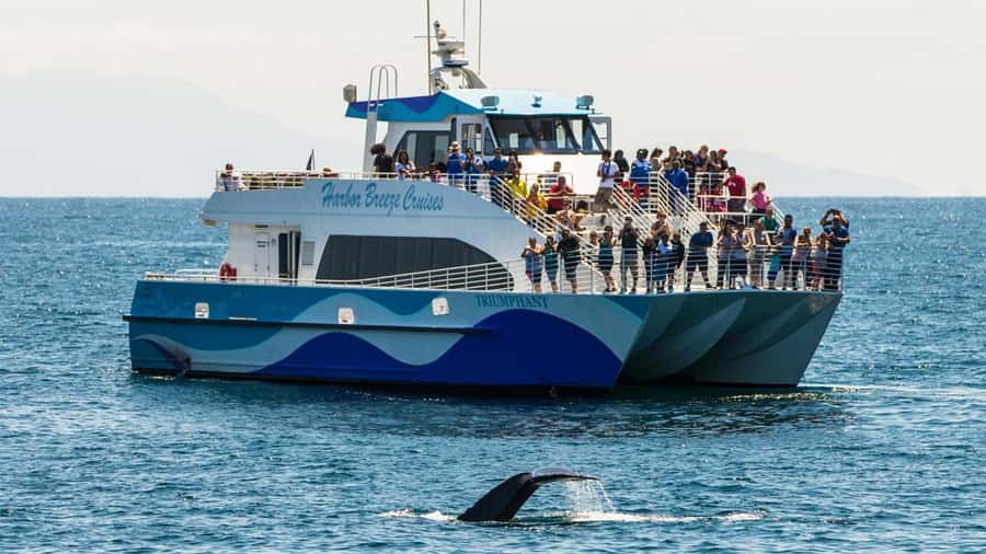 Long Beach: Whale and Dolphin Watching Cruise - Leaving Long Beach for the Pacific