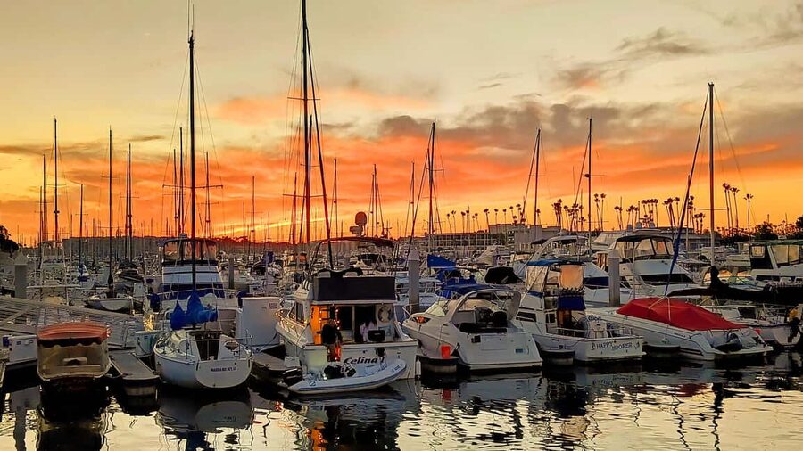 Los Angeles #1: Luxury Boat Cruise-Wine, Cheese & Sea Lions - What you get for $149