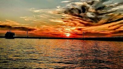 Los Angeles #1: Luxury Boat Cruise-Wine, Cheese & Sea Lions