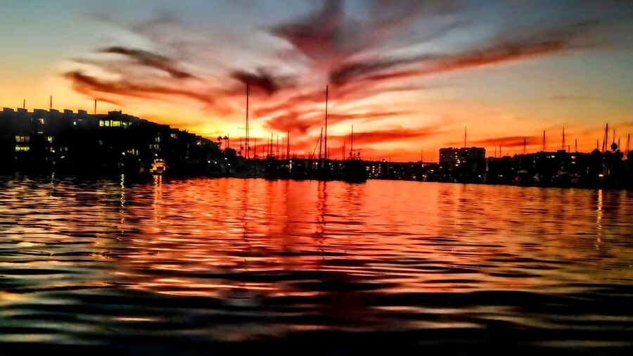Los Angeles #1: Luxury Boat Cruise-Wine, Cheese & Sea Lions - Add-ons, tips, and parking to budget for
