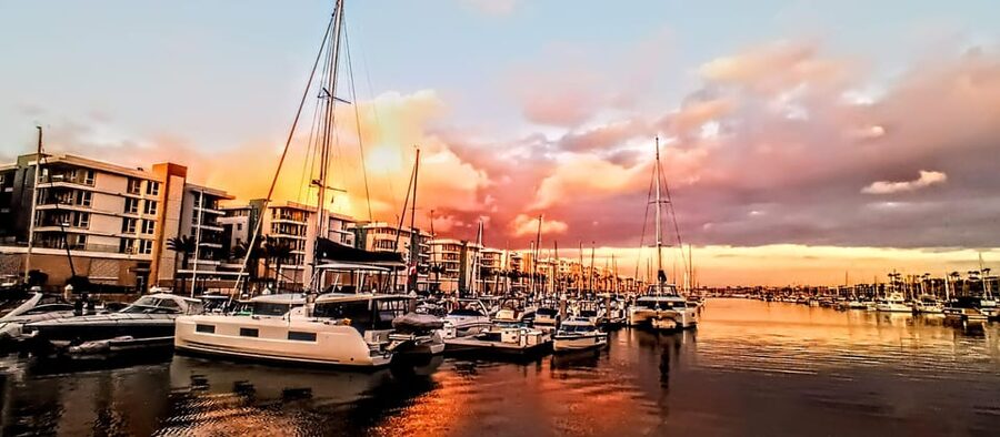 Los Angeles #1: Luxury Boat Cruise-Wine, Cheese & Sea Lions - Should you book it?