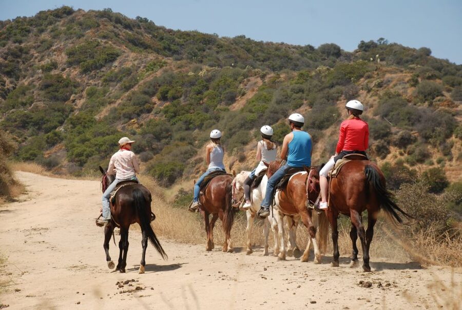 Los Angeles: 2-Hour Hollywood Trail Horseback Riding Tour - What to know before you book