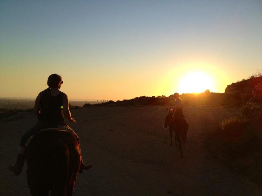 Los Angeles: 2-Hour Hollywood Trail Horseback Riding Tour - Is the two-hour ride worth $125?