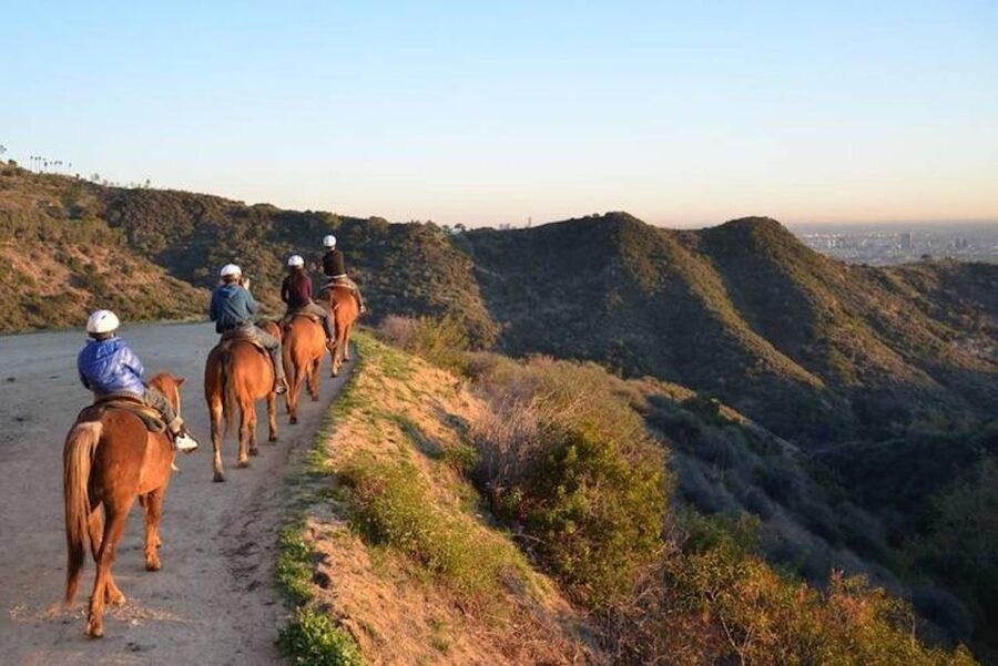 Los Angeles: 2-Hour Hollywood Trail Horseback Riding Tour - Settling in with a calm horse