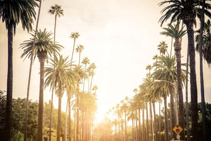 Los Angeles 4-Hour Private Tour: Beverly Hills & More - Hollywood Boulevard, the Walk of Fame and the Chinese Theatre