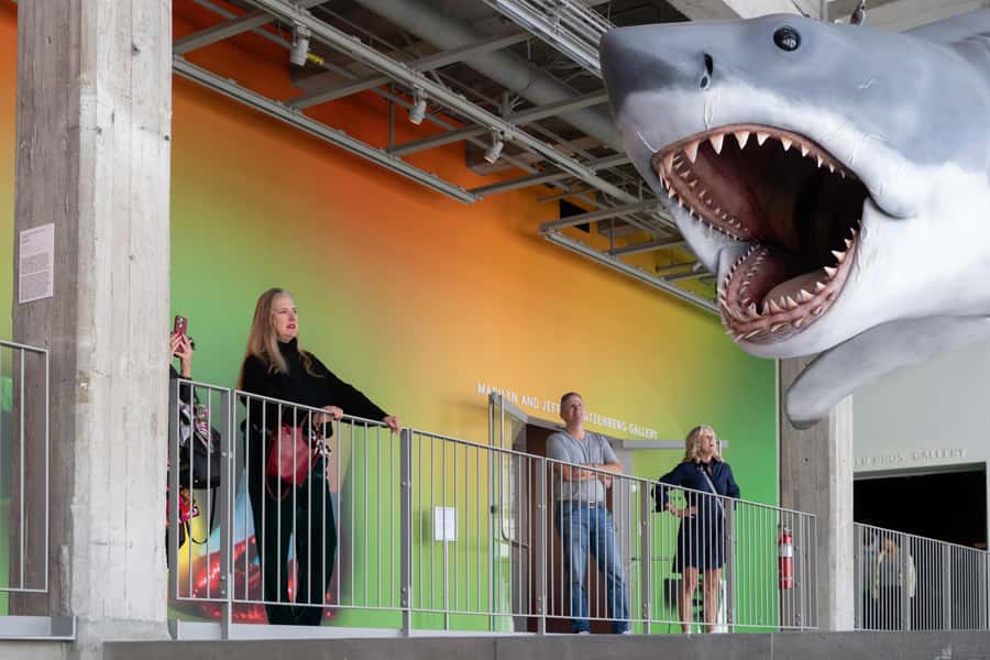 Los Angeles: Academy Museum of Motion Pictures Ticket - Check access details before you go