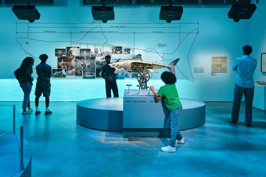 Los Angeles: Academy Museum of Motion Pictures Ticket - Meet three works in Significant Movies and Moviemakers