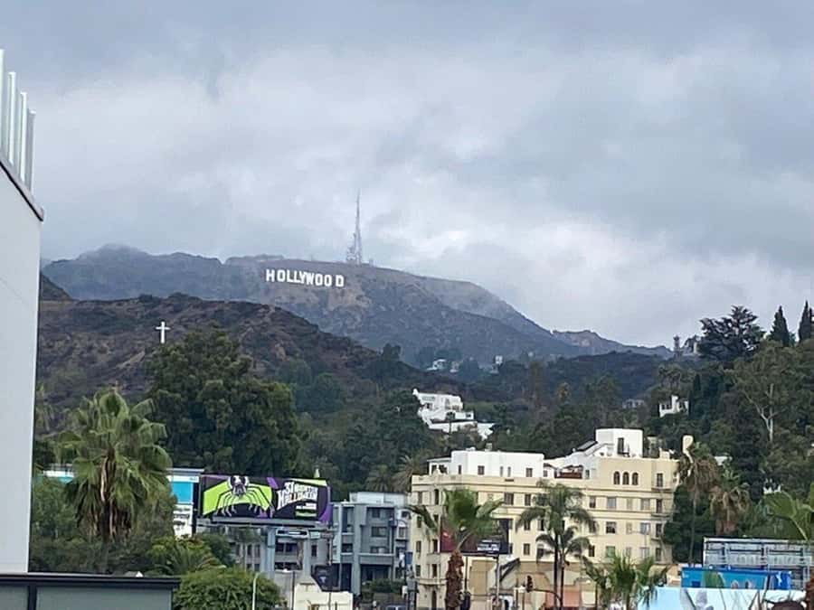 Los Angeles: City Highlights Tour From Cruise Port - Venice Beach is the best chance to wander