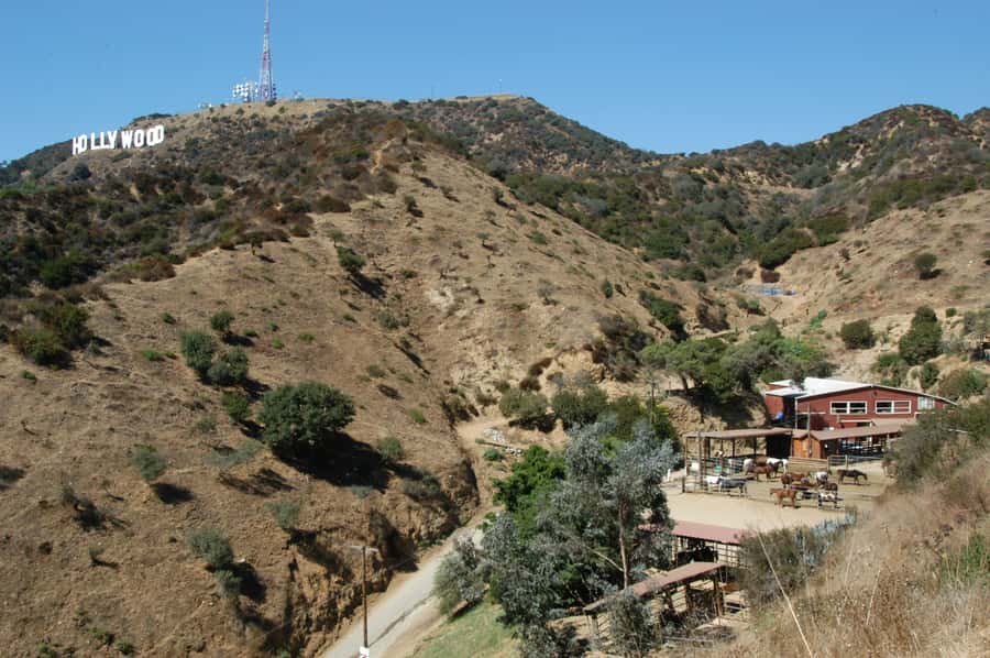 Los Angeles: Evening 2-Hour Hollywood Horseback Riding Tour - Griffith Park From the Saddle