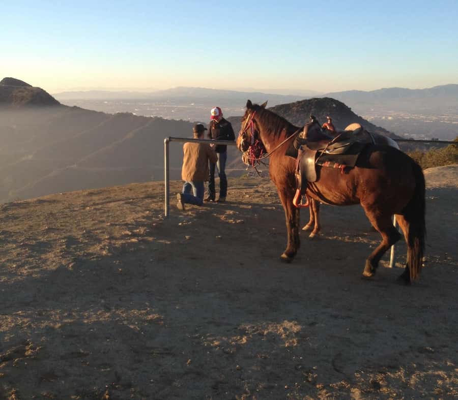 Los Angeles: Evening 2-Hour Hollywood Horseback Riding Tour - Meeting the Horses on Beachwood Drive