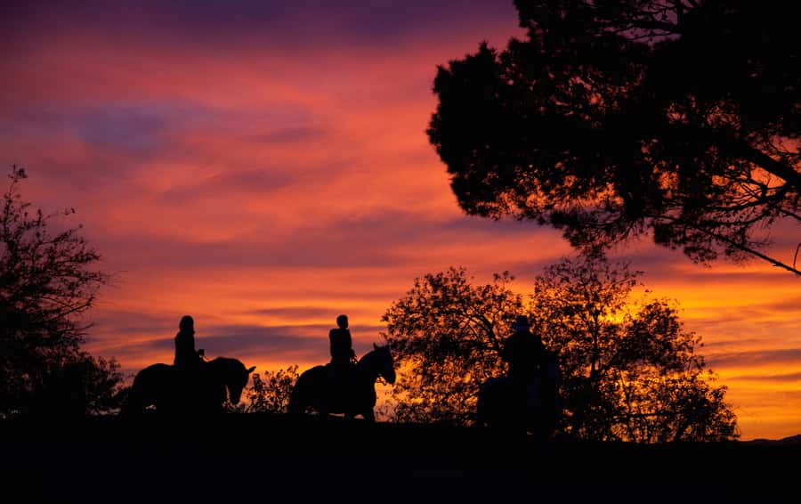 Los Angeles: Evening 2-Hour Hollywood Horseback Riding Tour - A Different View of the Hollywood Sign