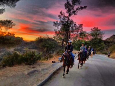 Evening 2-Hour Hollywood Horseback Riding Tour