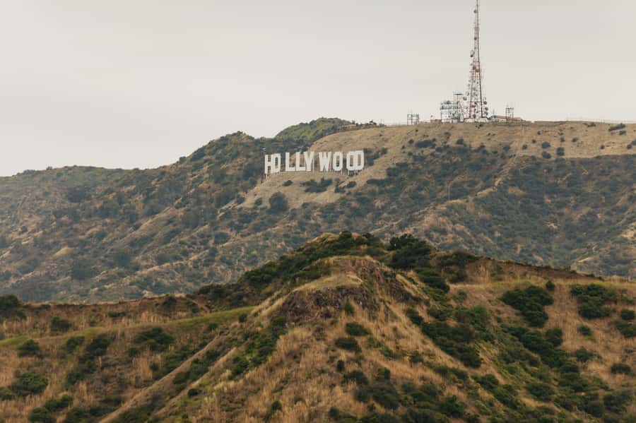 Los Angeles: Half-Day Best of LA Tour - The guide makes the miles more interesting