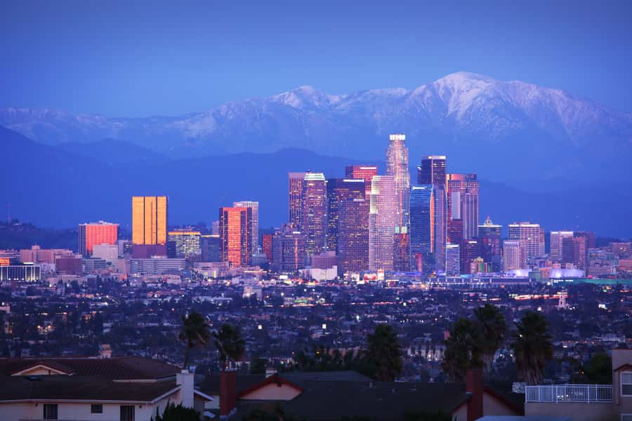 Los Angeles, Hollywood, & Beverly Hills Afternoon City Tour - What the small group changes