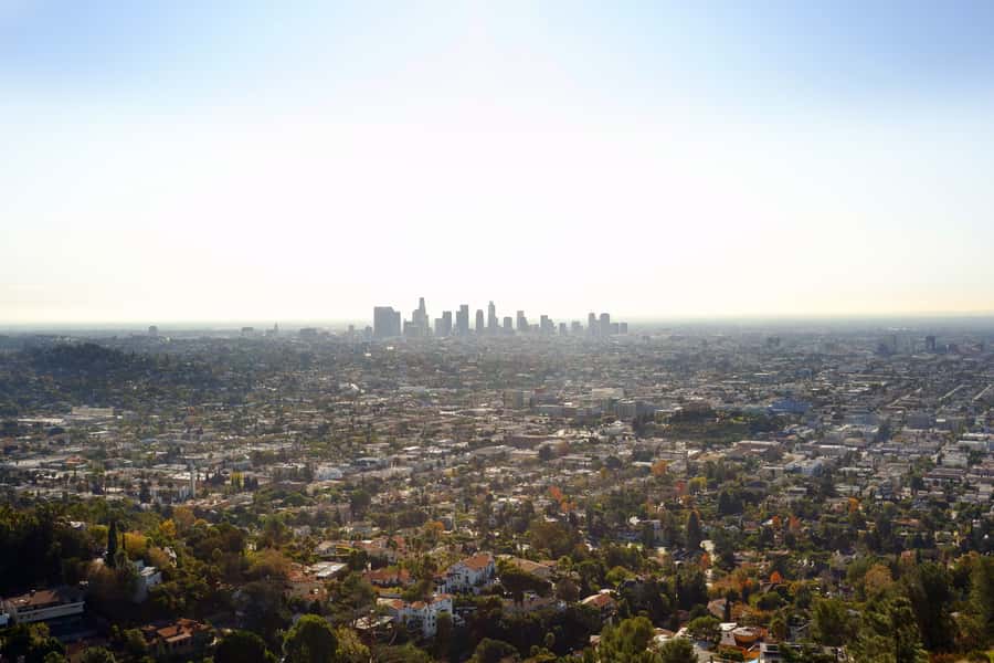 Los Angeles, Hollywood, & Beverly Hills Afternoon City Tour - Is $86 good value?