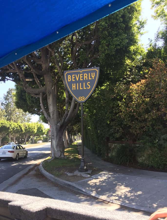 Los Angeles: Hollywood Tour & Celebrity Homes - Timing, comfort and what to bring