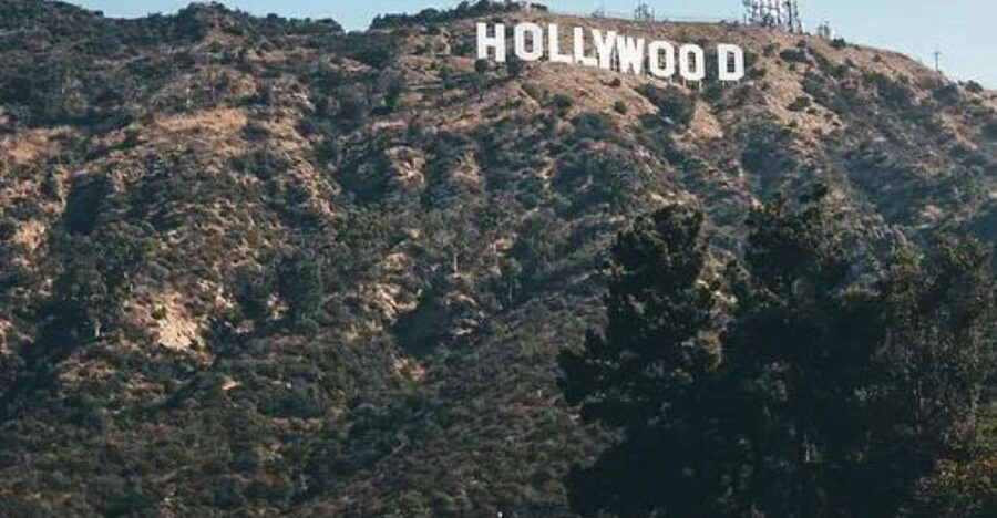 Los Angeles: L.A. Highlights in One Day Guided Experience! - What $139 buys, and who gets the most from it