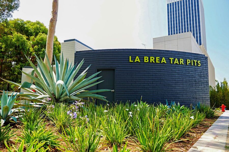 Los Angeles: La Brea Tar Pits Museum Ticket - Key points to know