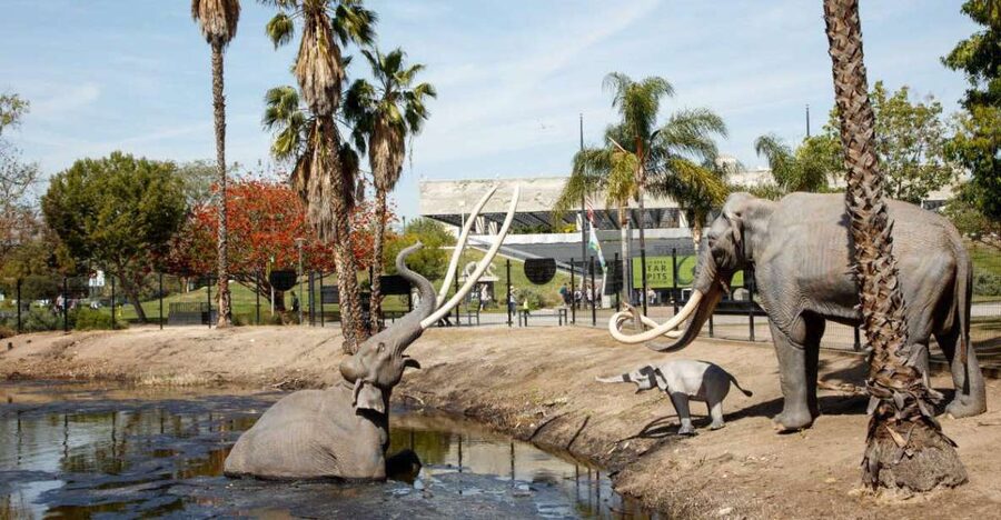 Los Angeles: La Brea Tar Pits Museum Ticket - Start outside, where the tar is still moving