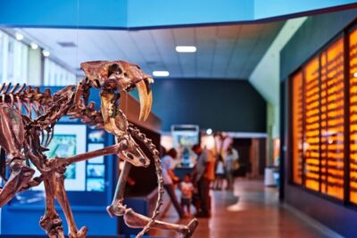 La Brea Tar Pits Museum Ticket