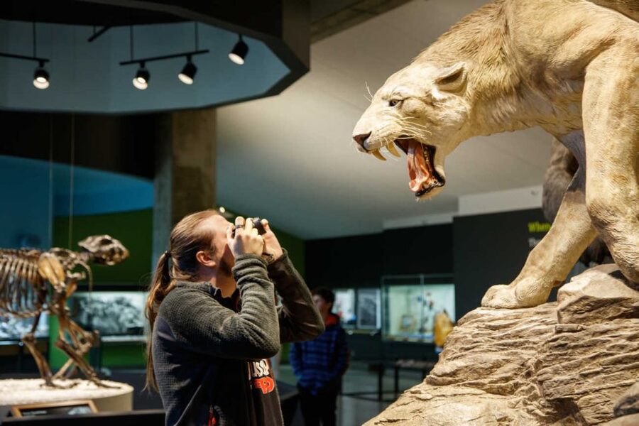 Los Angeles: La Brea Tar Pits Museum Ticket - Make a day of it without overplanning