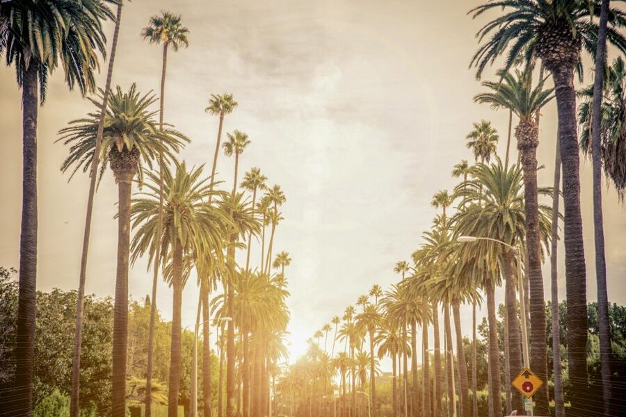 Los Angeles: LA in a Day Guided Electric Bike Tour - Westwood, UCLA, and Brentwood on the way west