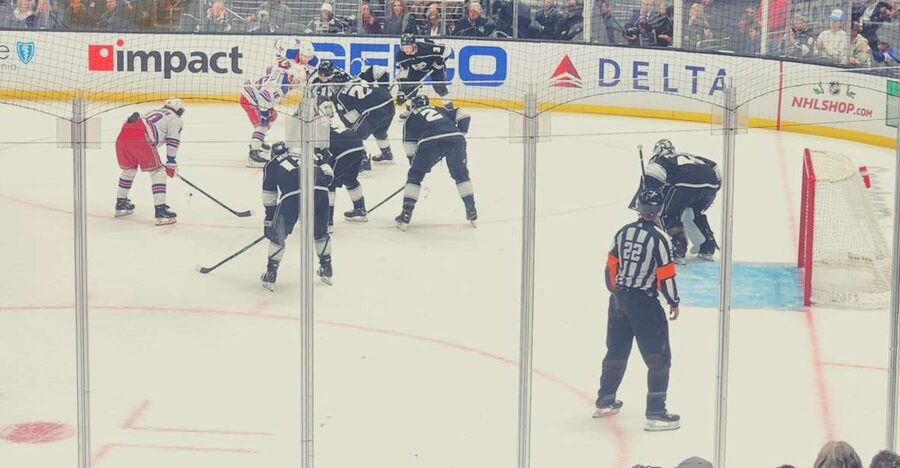 Los Angeles: LA Kings Ice Hockey Game Ticket - Choosing a seat that fits your budget