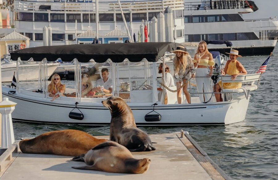 Los Angeles: Luxury Cruise with Wine, Cheese & Sea Lions - Wine, cheese and a leisurely pace