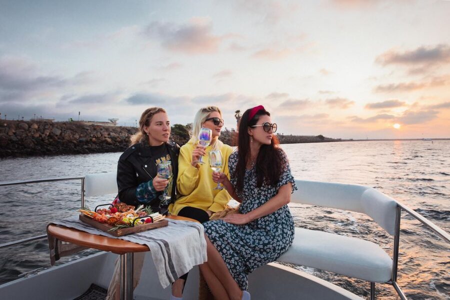 Los Angeles: Luxury Cruise with Wine, Cheese & Sea Lions - Who should book this cruise