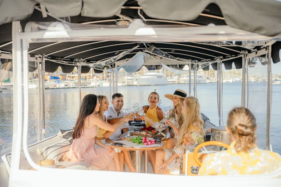 Los Angeles: Luxury Cruise with Wine, Cheese & Sea Lions - Watching for sea lions and birds