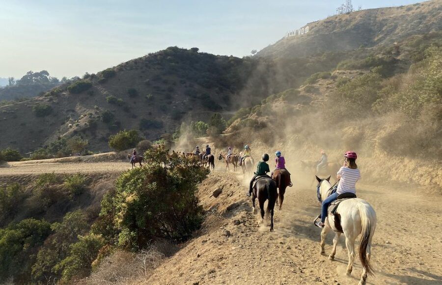 Los Angeles: Mulholland Trail Horseback Riding Tour - Griffith Park trails and the views from the hills