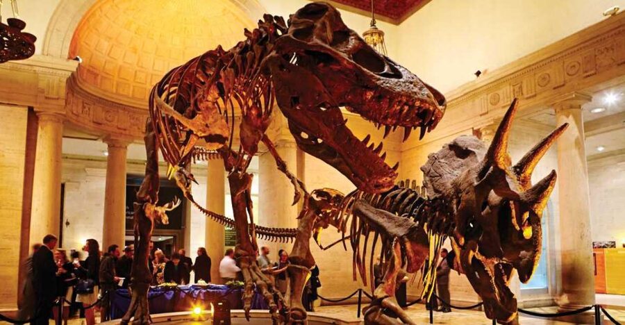 Los Angeles: Natural History Museum of LA Entry Ticket - Start with dinosaurs, then follow the story