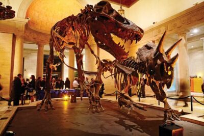Natural History Museum of LA Entry Ticket