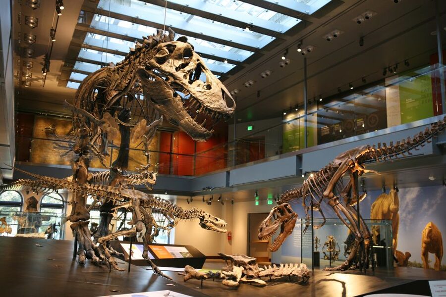 Los Angeles: Natural History Museum of LA Entry Ticket - Nature Gardens offer a change of pace
