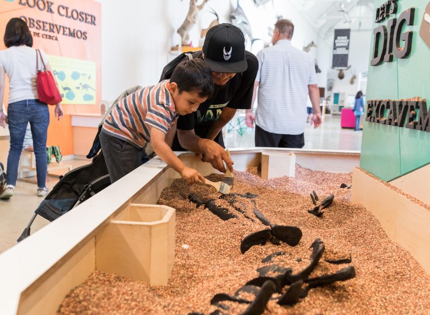 Los Angeles: Natural History Museum of LA Entry Ticket - Plan for several hours on your feet